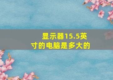 显示器15.5英寸的电脑是多大的