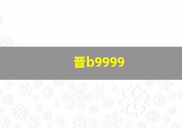 晋b9999