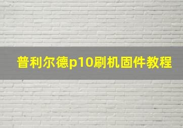 普利尔德p10刷机固件教程