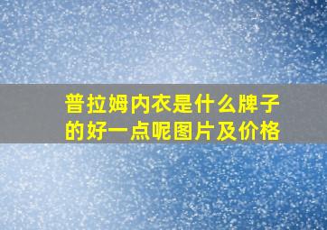 普拉姆内衣是什么牌子的好一点呢图片及价格