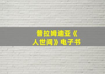 普拉姆迪亚《人世间》电子书