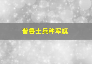 普鲁士兵种军旗