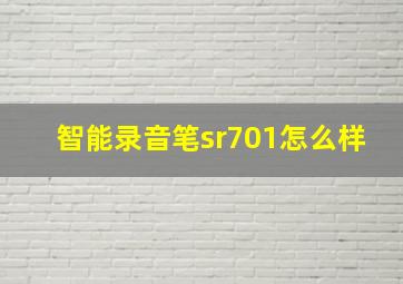 智能录音笔sr701怎么样