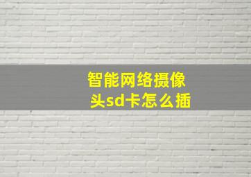 智能网络摄像头sd卡怎么插