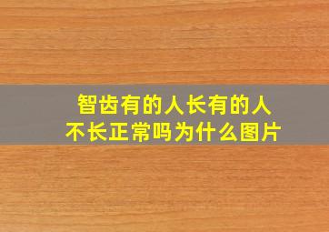 智齿有的人长有的人不长正常吗为什么图片