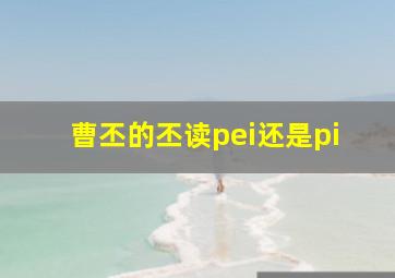 曹丕的丕读pei还是pi