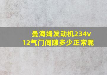 曼海姆发动机234v12气门间隙多少正常呢