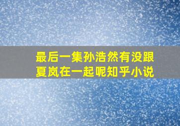 最后一集孙浩然有没跟夏岚在一起呢知乎小说