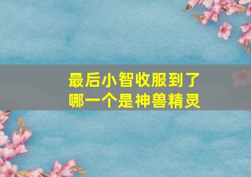 最后小智收服到了哪一个是神兽精灵