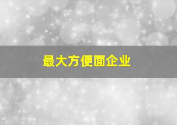 最大方便面企业