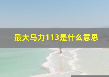 最大马力113是什么意思