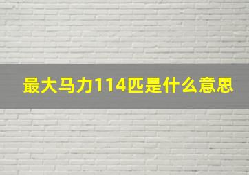 最大马力114匹是什么意思