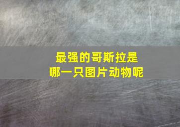 最强的哥斯拉是哪一只图片动物呢