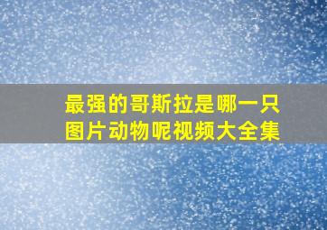 最强的哥斯拉是哪一只图片动物呢视频大全集