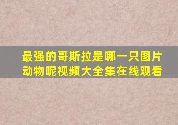 最强的哥斯拉是哪一只图片动物呢视频大全集在线观看