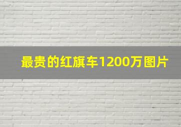 最贵的红旗车1200万图片