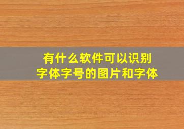 有什么软件可以识别字体字号的图片和字体