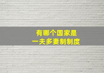 有哪个国家是一夫多妻制制度