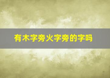 有木字旁火字旁的字吗