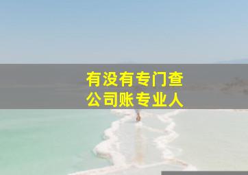 有没有专门查公司账专业人