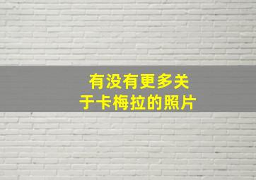 有没有更多关于卡梅拉的照片