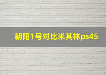 朝阳1号对比米其林ps45