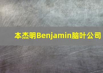 本杰明Benjamin脑叶公司