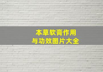 本草软膏作用与功效图片大全