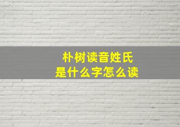 朴树读音姓氏是什么字怎么读