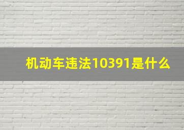 机动车违法10391是什么