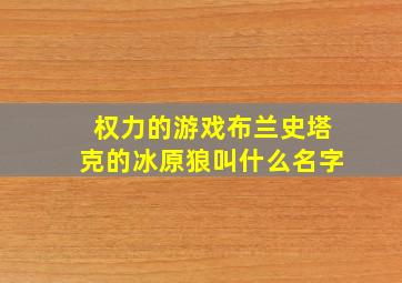 权力的游戏布兰史塔克的冰原狼叫什么名字