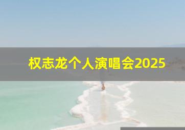 权志龙个人演唱会2025