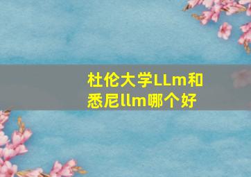 杜伦大学LLm和悉尼llm哪个好