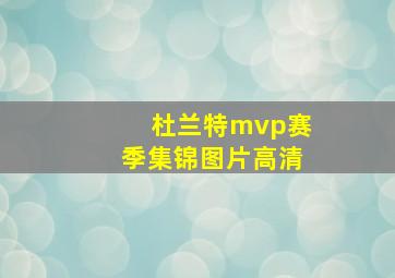 杜兰特mvp赛季集锦图片高清