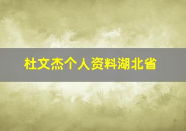 杜文杰个人资料湖北省