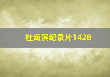 杜海滨纪录片1428