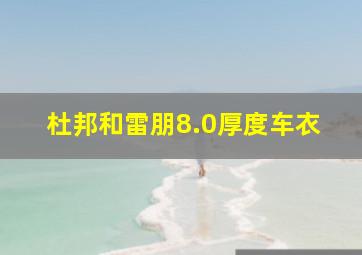 杜邦和雷朋8.0厚度车衣