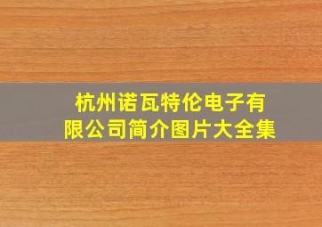 杭州诺瓦特伦电子有限公司简介图片大全集