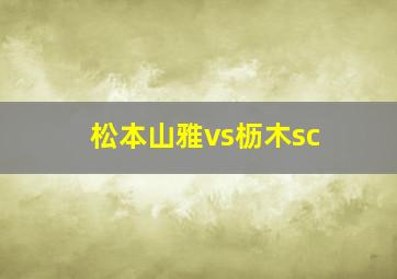 松本山雅vs枥木sc