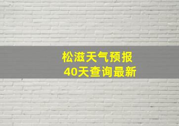 松滋天气预报40天查询最新