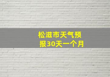 松滋市天气预报30天一个月