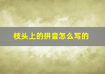 枝头上的拼音怎么写的