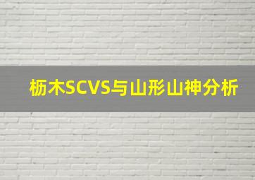 枥木SCVS与山形山神分析