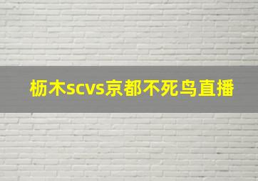 枥木scvs京都不死鸟直播