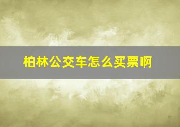 柏林公交车怎么买票啊