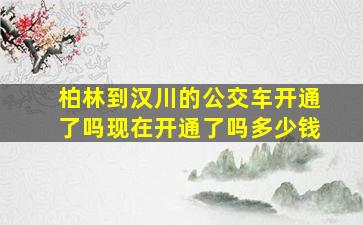 柏林到汉川的公交车开通了吗现在开通了吗多少钱