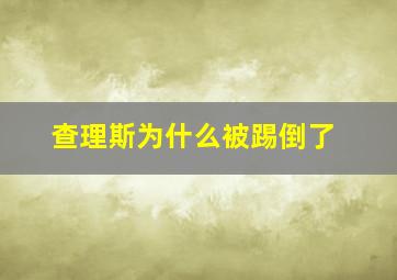 查理斯为什么被踢倒了