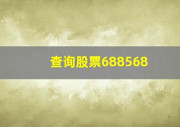 查询股票688568