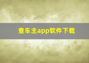 查车主app软件下载