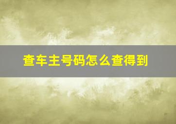 查车主号码怎么查得到